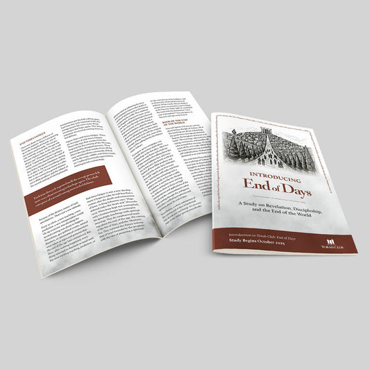 “Introducing End of Days“ Booklet