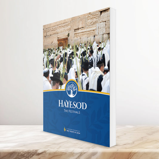HaYesod: The Festivals, Lesson Book