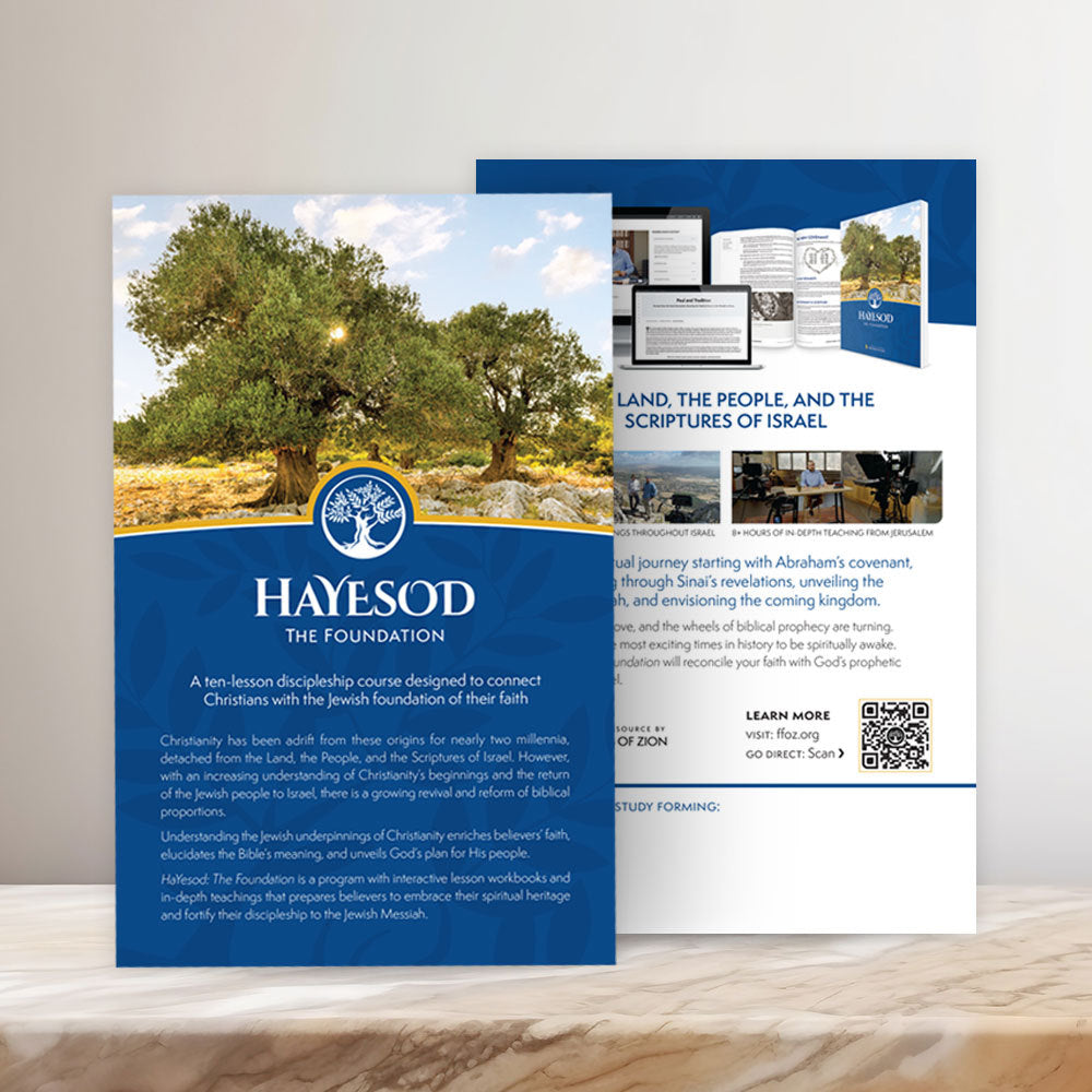 HaYesod Group Promotional Brochure