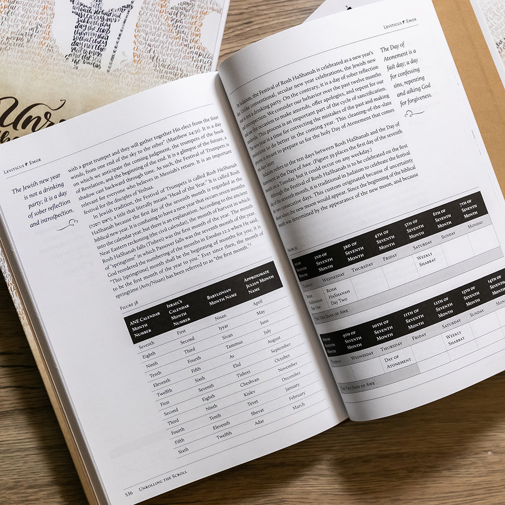 Torah Club: Unrolling the Scroll, Commentary Set + Audio Magazine