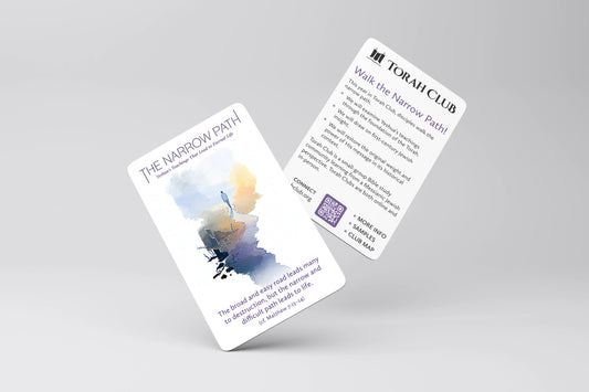 The Narrow Path Promo Card