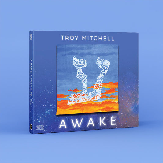 Troy Mitchell - Awake, MP3