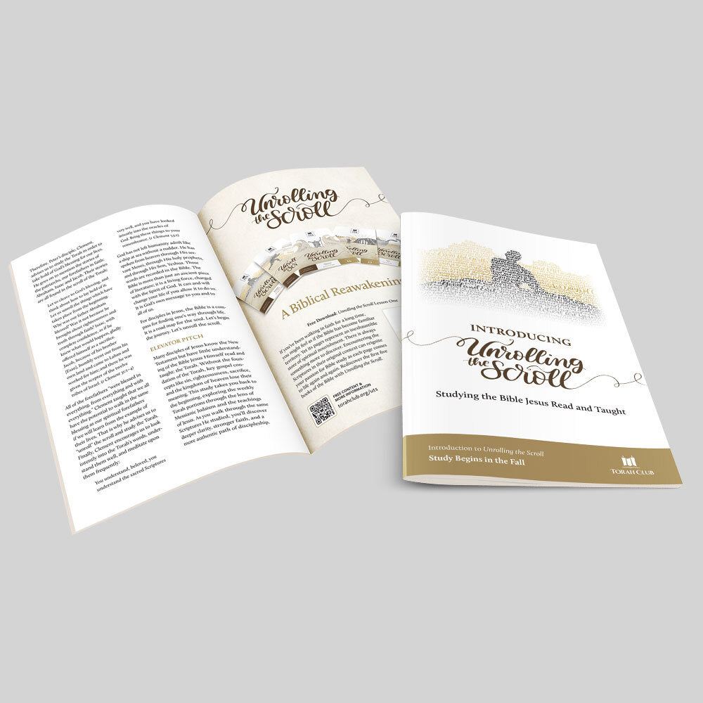 “Introducing Unrolling the Scroll“ Booklet
